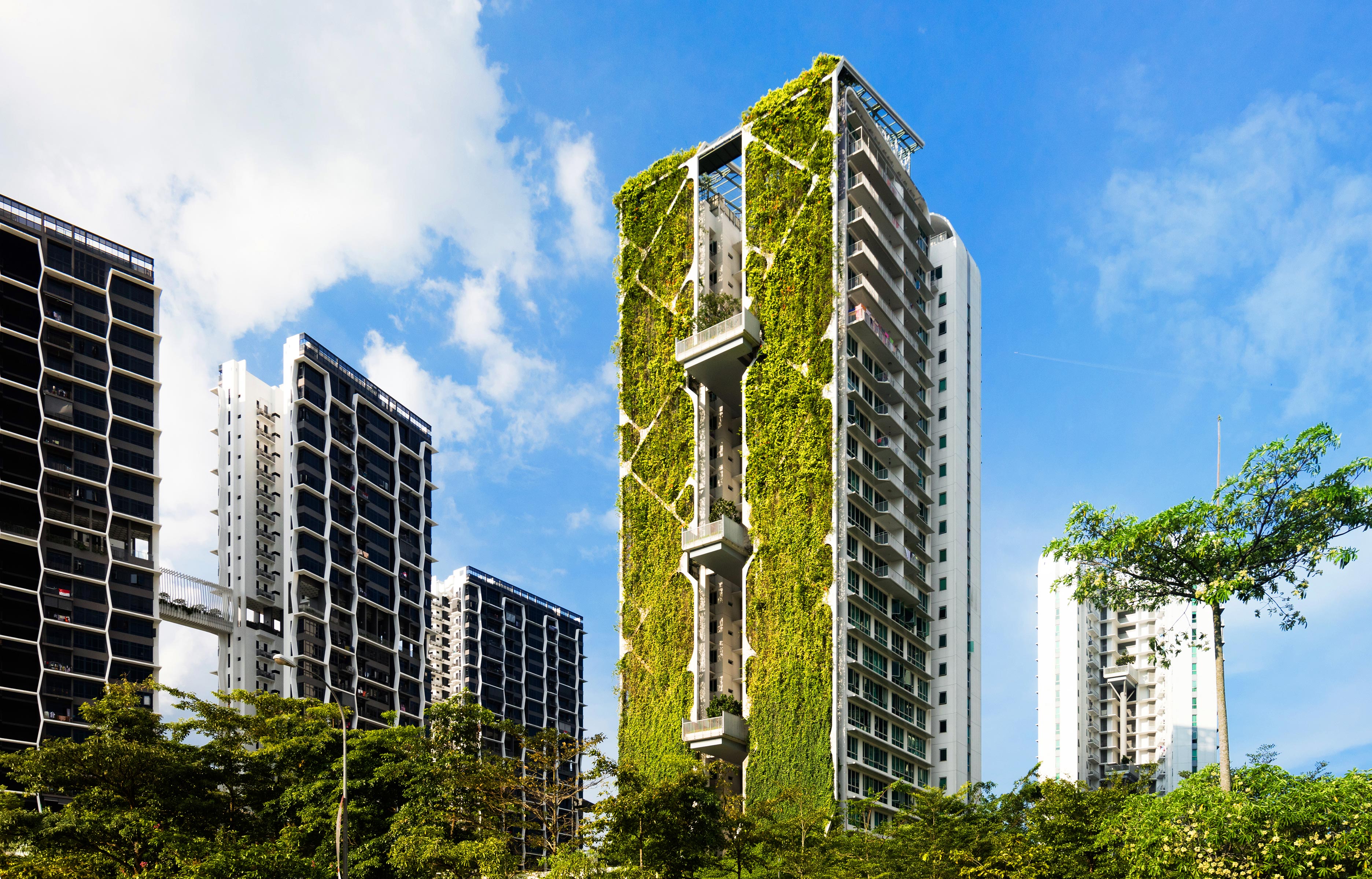 Building trees. Tree haus зеленый небоскреб» в Сингапуре. Жилой комплекс «Tree House». Вертикальные сады в Сингапуре. Сингапур высотки жилой комплекс.