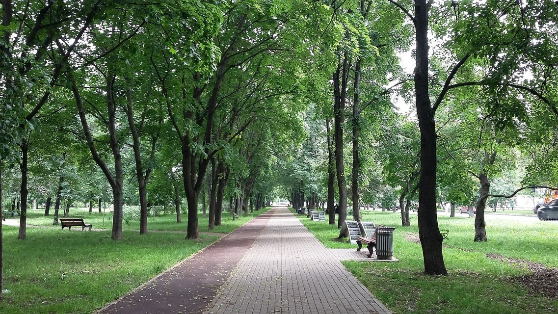 Край бульвар. Волжский бульвар парк. Волжский бульвар Ярославль. Волжский бульвар парк скамейки. Город Москва Текстильщики Волжский бульвар.